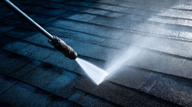Roof Cleaning Service