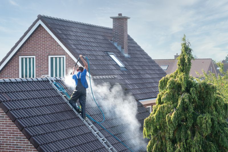 roof cleaning and pressure washing
