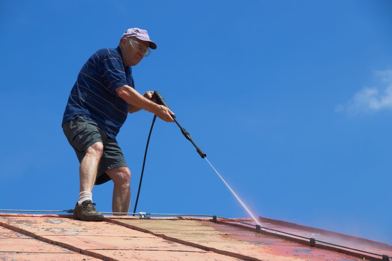 roof cleaning and pressure washing