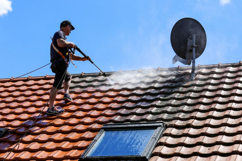 roof cleaning and pressure washing