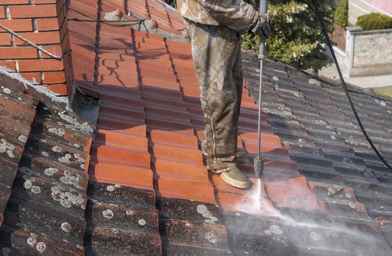 Products For Roof Cleaning And Pressure Washings in use
