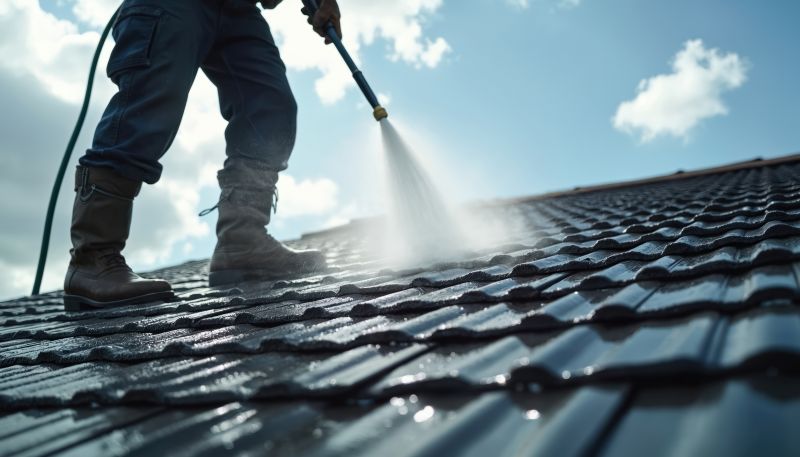 Roof Cleaning And Pressure Washing