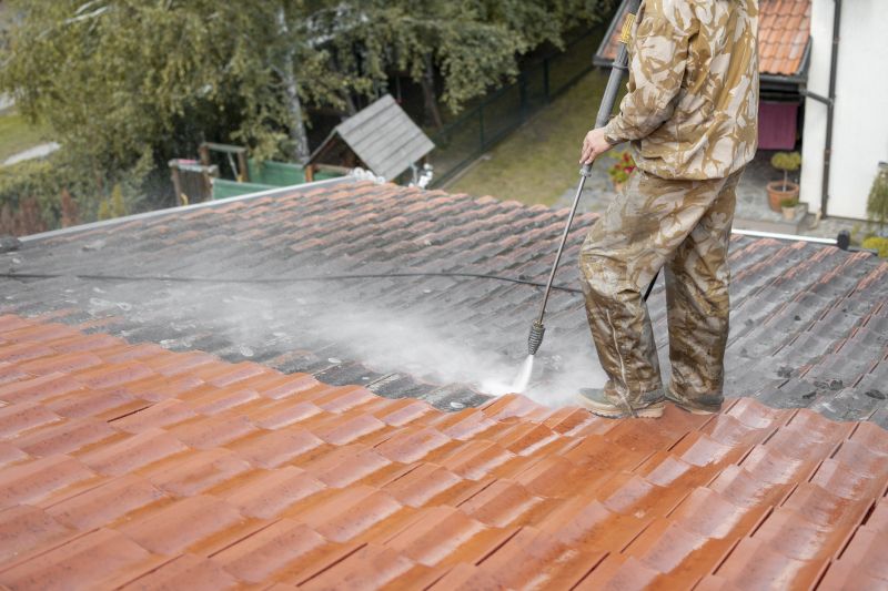 Roof Cleaning And Pressure Washing