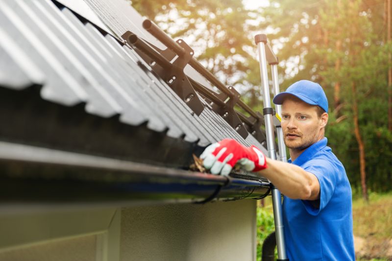Cleaning of Roof Gutters
